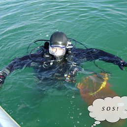 ���� �������, ����-���������, 52 ���� - ��������� 30 ������� 2012