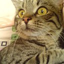 ��� ��� ��������?