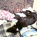 ���� �������, �����-���������, 43 ���� - ��������� 27 ������ 2011 � ������ �������