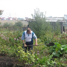 ���� ���, ��������, 49 ��� - ��������� 8 ������� 2013