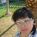 ���� ����, ������ - ��������� 15 ����� 2012 � ������ �������