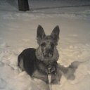 ���� ����, ������, 36 ��� - ��������� 19 ������� 2010 � ������ �������