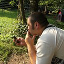 ���� ����, ������, 43 ���� - ��������� 15 ���� 2013 � ������ ���� ����������