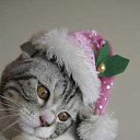 ���� ����. ��������� �� ��!, ������, 72 ���� - ��������� 28 ����� 2011 � ������ �������� ����