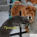   -    ,        .   - - !