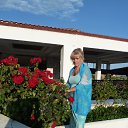 ������ ���� 2013 �. �� ������� ���� ����������