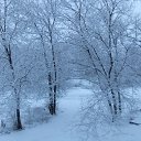 ���� �����, ������ - ��������� 5 ������� 2012 � ������ ������