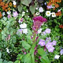 ���� ��������, ���������, 63 ���� - ��������� 22 ���� 2012