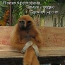 ���� ���������, ���������, 56 ��� - ��������� 25 �������� 2011