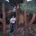 ���� �����, ��������� - ��������� 29 ������ 2013 � ������ ���������