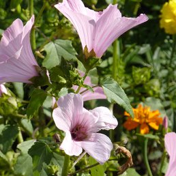 ���� ������, �����, 71 ��� - ��������� 28 �������� 2011