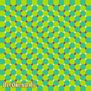 ���� ������, ������ �����, 24 ���� - ��������� 2 �������� 2010 � ������ �������