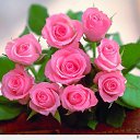 ���� �������, ������ - ��������� 7 ��� 2013 � ������ ���� ����������