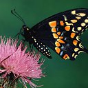 ���� ~~~ � ~~~, ����������, 46 ��� - ��������� 7 ������� 2010 � ������ ��������- ����� ��������