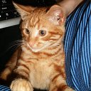 ���� �������, ������, 42 ���� - ��������� 13 ������ 2011 � ������ ������ ���� ))�