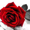 ���� ��������, ���������, 85 ��� - ��������� 1 ������ 2013 � ������ ���� ����������
