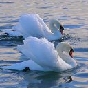 ���� �����, ����� - ��������� 29 ������ 2013 � ������ �������