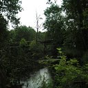 ���� ����, ������ ��������, 41 ��� - ��������� 16 ���� 2010 � ������ ����������