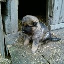 ���� �, �����-���������, 50 ��� - ��������� 9 �������� 2010 � ������ �������