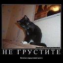 ���� ����, ������ - ��������� 19 ������� 2009 � ������ ������� ���������� �����