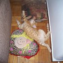 ��� �� ��� ����... �� ������� ���� �������� � ������ �����...�