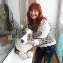 ���� ������, ��������, 62 ���� - ��������� 21 ���� 2013