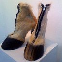 ��������� �������� ������� �� )) �� ������� ���� ����������