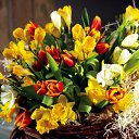 ���� Lika, �������� - ��������� 30 ������ 2010 � ������ �������