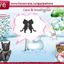  , , 35  -  9  2010   PetLove