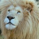 ����� ���