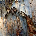 ���� Svann, ���������, 71 ��� - ��������� 11 ���� 2013 � ������ ���������� �� �������