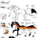 ���� �����, ������ - ��������� 9 ������� 2012 � ������ ���������