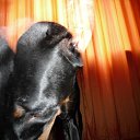 ���� ������, ������, 45 ��� - ��������� 6 ������ 2012 � ������ ���� ����������