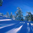 ���� �����, ����� - ��������� 29 ������ 2013 � ������ ���ѻ