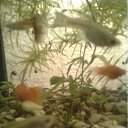 ���� ���������, ��������, 49 ��� - ��������� 5 �������� 2011 � ������ �������