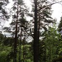  Serzh Van Der Maaremaan,  -  19  2010   ׸ 