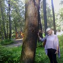 ���� Elena, ������ - ��������� 14 ����� 2013