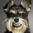 ���� �����, ������, 42 ���� - ��������� 11 ���� 2012 � ������ �������