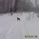 ���� �����, ��������, 44 ���� - ��������� 2 ������ 2013 � ������ ���� ����������