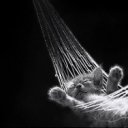 ���� Olik, �����, 42 ���� - ��������� 12 ������ 2010 � ������ �������