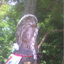 ���� ������, �����������������, 47 ��� - ��������� 7 ���� 2011 � ������ ���� ����