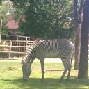 ���� ������, ���������, 41 ��� - ��������� 13 ���� 2011 � ������ ��������� �� ������