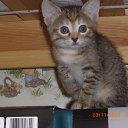 ���� �����, ������������, 50 ��� - ��������� 5 ������ 2010 � ������ �����