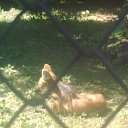 ���� ������, ���������, 41 ��� - ��������� 13 ���� 2011 � ������ ��������� �� ������