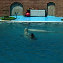 ���� �����, ������, 47 ��� - ��������� 7 ������� 2010 � ������ �����-������� 2010�