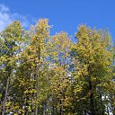 ���� Xameleon, ������, 42 ���� - ��������� 31 ������� 2009 � ������ ����������� ��������� ���� � ������