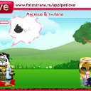 ���� *����*, ������-��-����, 41 ��� - ��������� 24 ������� 2010 � ������ �PetLove�