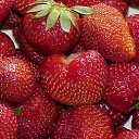 ���� Anna, �������, 45 ��� - ��������� 14 ���� 2011 � ������ �������