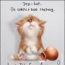 ���� ��������, ����, 55 ��� - ��������� 4 ���� 2013