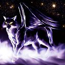 ���� �����, ���������, 28 ��� - ��������� 24 ����� 2010 � ������ �������